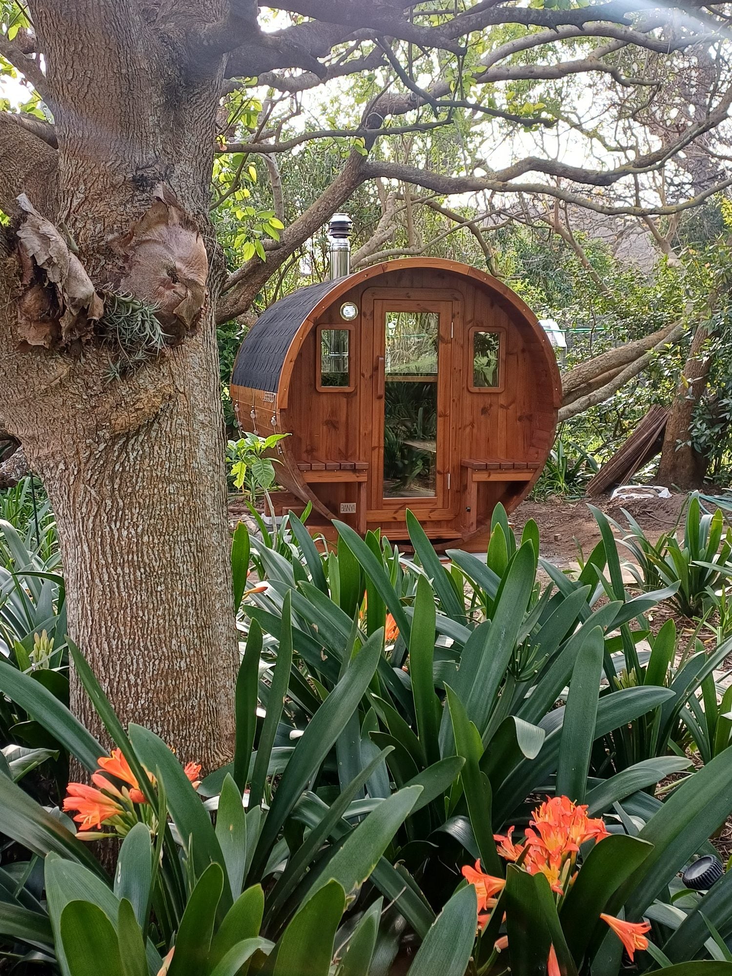 Set deep in the garden, framed by the tree and the clivias